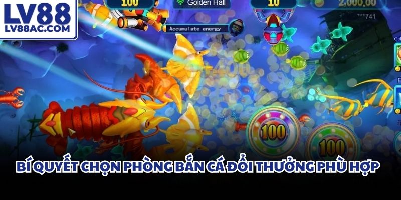 Hệ thống phòng đấu đa dạng đáp ứng toàn diện mọi nhu cầu của người chơi