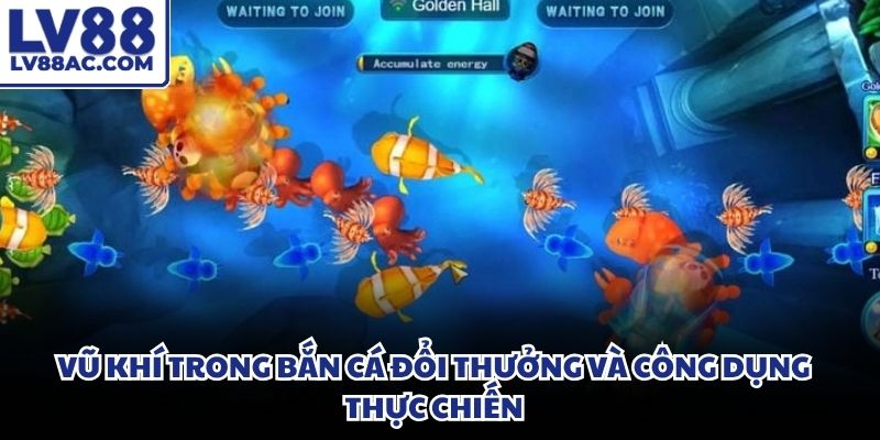 Kho vũ khí hiện đại mang lại sức mạnh tối tân cho mọi ngư thủ