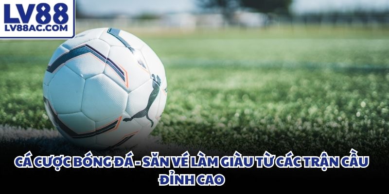 Cá cược bóng đá