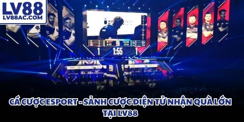 Cá cược esport