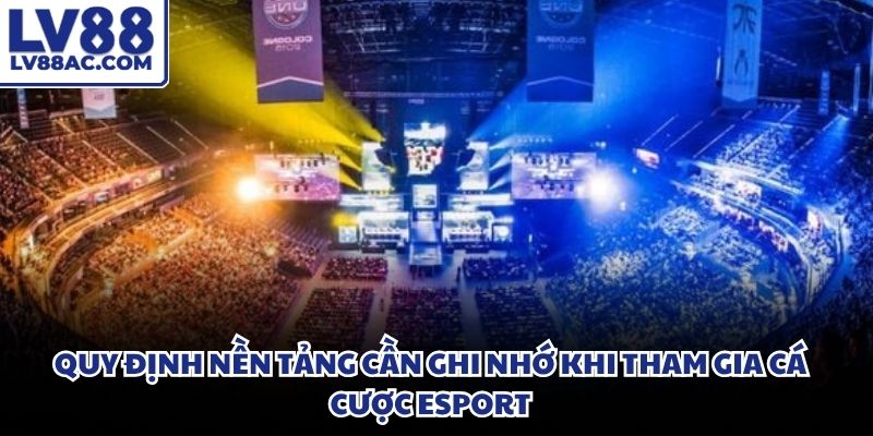 Hệ thống vận hành minh bạch bảo đảm quyền lợi tối đa cho toàn bộ khách hàng