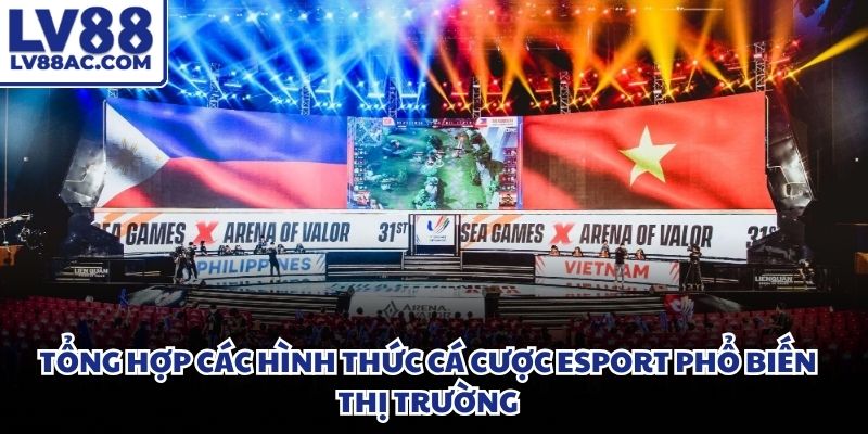 Biểu đồ hiển thị thông số hiệu suất ra đòn của hai đội tuyển