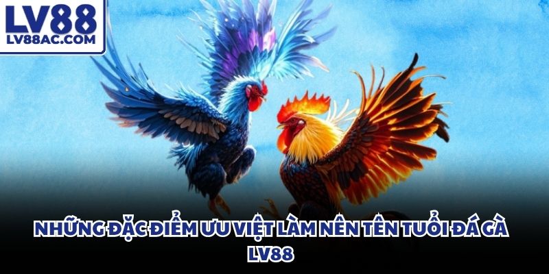 Công nghệ truyền tải video trực tiếp đạt độ phân giải cao vô cùng mượt mà