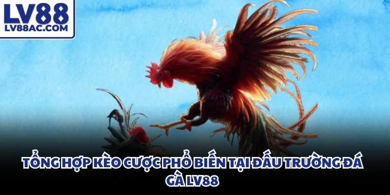 Giao diện bảng kèo đặt cược hiển thị đầy đủ thông số tỷ lệ hoàn trả