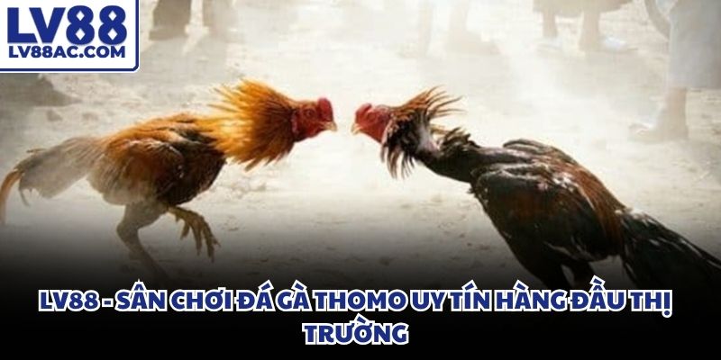 Các phím chức năng sắp xếp khoa học giúp người chơi thao tác dễ dàng
