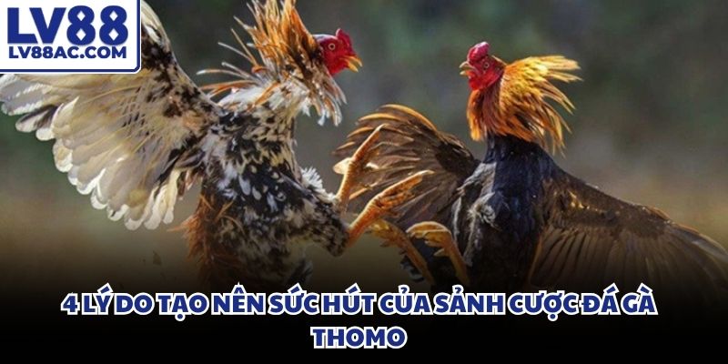 Hệ thống kèo cược phong phú giúp cược thủ dễ dàng tìm kiếm cơ hội đầu tư