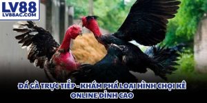 Đá gà trực tiếp