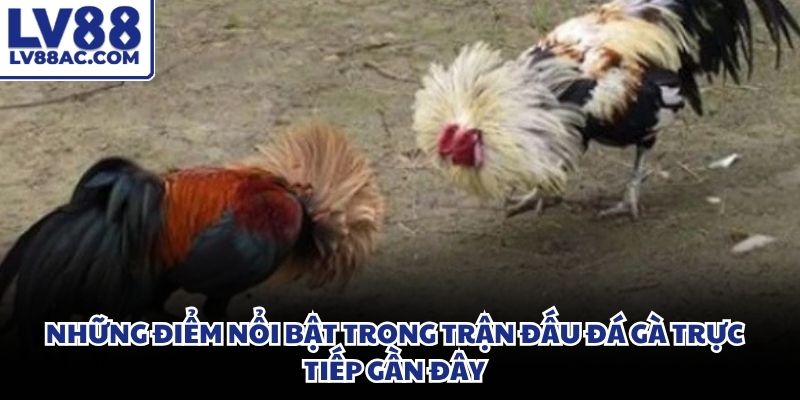 Áp dụng chiến thuật khoa học giúp bạn duy trì lợi thế khi đặt cược chọi kê