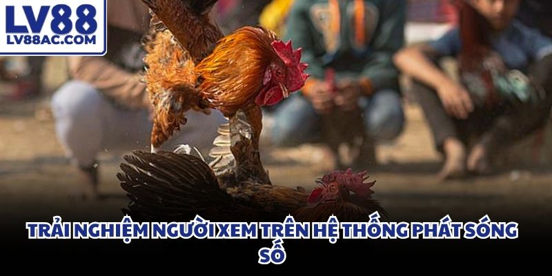 Giao diện màn hình điện thoại hiển thị góc quay sắc nét của trận đấu