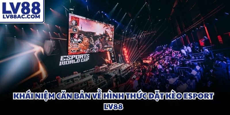 Hệ thống máy chủ cập nhật liên tục giải đấu thể thao điện tử lớn trên thế giới