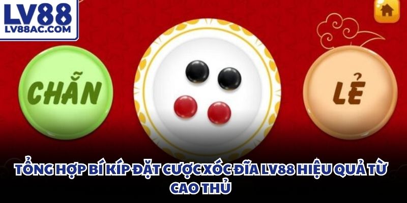 Bảng lịch sử ghi nhận kết quả hiển thị chi tiết chu kỳ xuất hiện số đẹp
